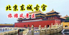 骚妇求操视频中国北京-东城古宫旅游风景区